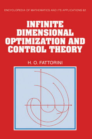 Cover of Infinite Dimensional Optimization and Control Theory