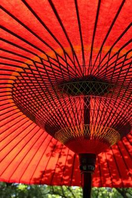 Book cover for A Pretty Red Parasol Umbrella