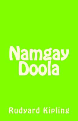 Book cover for Namgay Doola