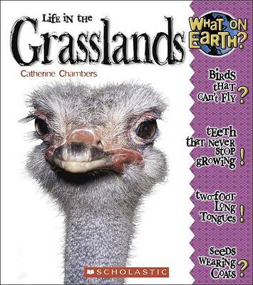 Book cover for Life in the Grasslands
