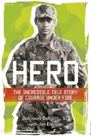 Cover of Hero: The incredible true story of courage under fire