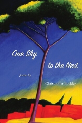 Cover of One Sky to the Next