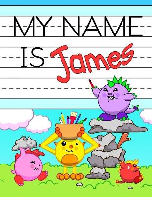 Book cover for My Name is James