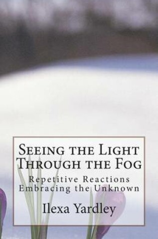 Cover of Seeing the Light Through the Fog