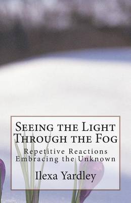 Book cover for Seeing the Light Through the Fog