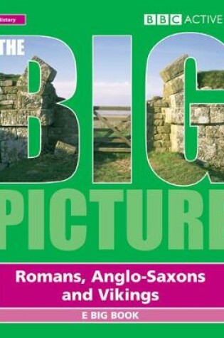 Cover of Big Picture Romans, Saxons and Vikings Multi User Licence
