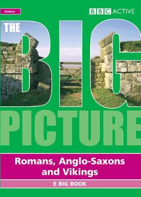 Book cover for Big Picture Romans, Saxons and Vikings Multi User Licence