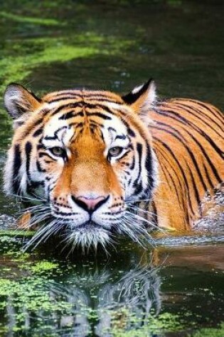 Cover of Tiger in the Water - Must Be Bath Time Journal