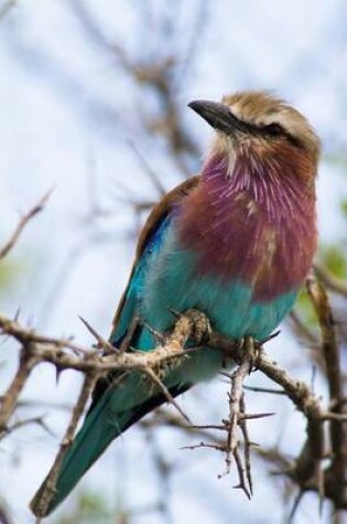 Cover of Beautiful Lilac-Breasted Roller on a Branch Bird Journal