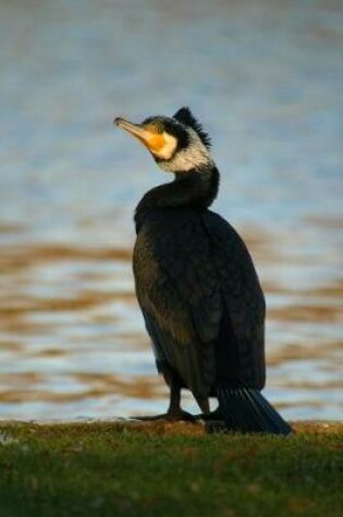 Cover of Great Cormorant (Phalacrocorax Carbo) Bird Journal