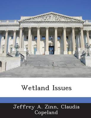 Book cover for Wetland Issues