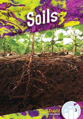 Book cover for Soils