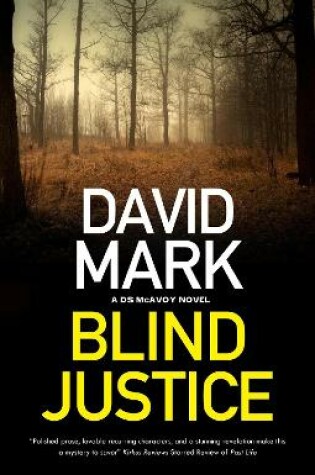 Cover of Blind Justice