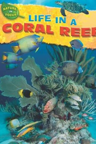 Cover of Life in a Coral Reef