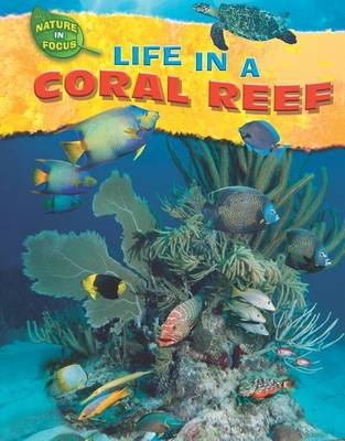 Book cover for Life in a Coral Reef