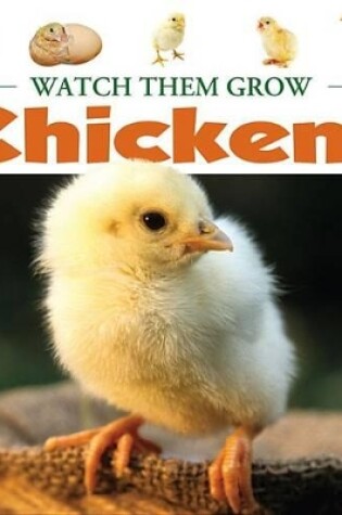 Cover of Chickens