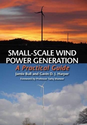 Book cover for Small-Scale Wind Power Generation