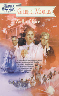 Book cover for Wall of Fire