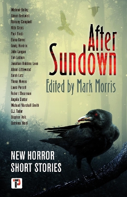 Book cover for After Sundown