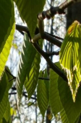 Cover of 2020 Weekly Planner Sunlight Shadows Backlit Leaves 134 Pages