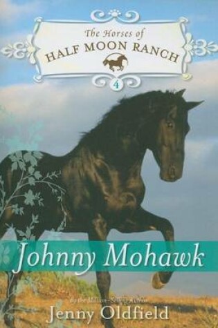 Cover of Johnny Mohawk