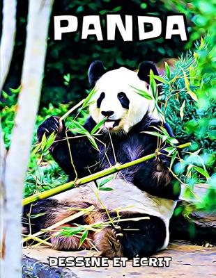 Cover of Panda