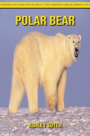 Cover of Polar bear