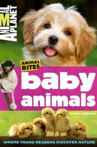 Cover of Animal Bites: Baby Animals