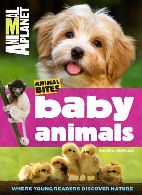 Book cover for Animal Bites: Baby Animals