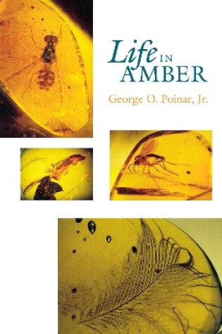 Cover of Life in Amber