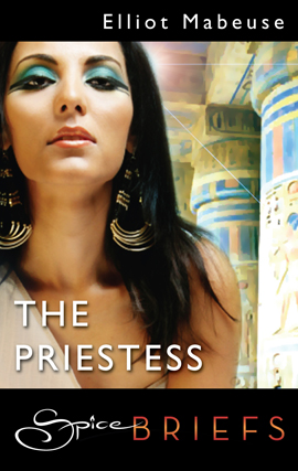 Book cover for The Priestess