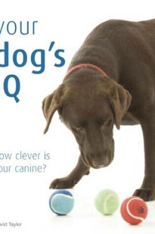 Cover of Your Dog's IQ
