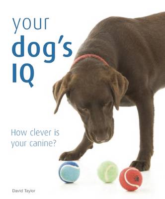 Book cover for Your Dog's IQ