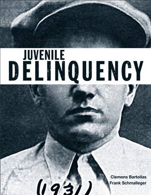 Book cover for Juvenile Delinquency (Justice Series) Plus MyCrimeKit -- Access Card Package