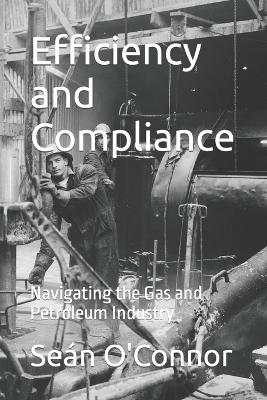 Book cover for Efficiency and Compliance