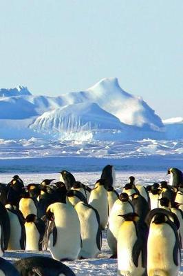 Book cover for Emperor Penguins (Journal / Notebook)