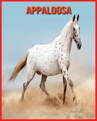 Book cover for Appaloosa