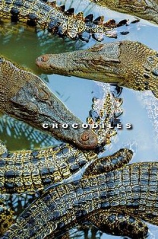 Cover of Crocodiles