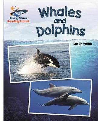 Cover of Reading Planet - Whales and Dolphins - White: Galaxy