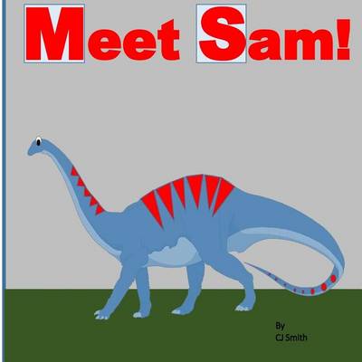 Book cover for Meet Sam!