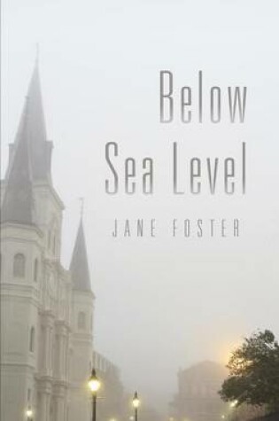 Cover of Below Sea Level