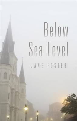 Book cover for Below Sea Level