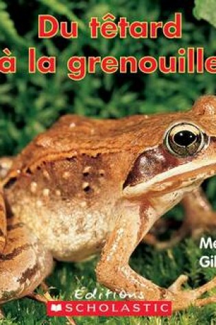 Cover of Du T?tard ? La Grenouille