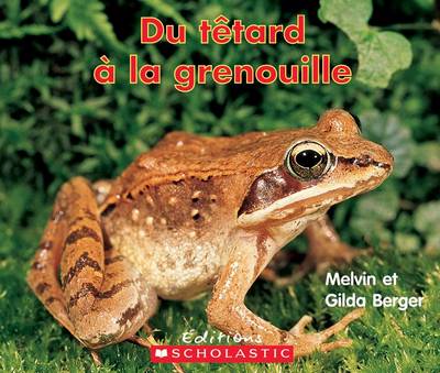 Cover of Du T?tard ? La Grenouille