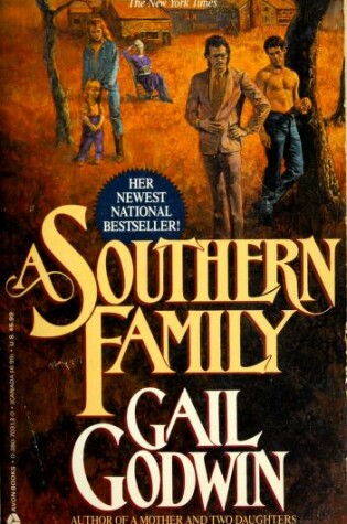 Cover of A Southern Family
