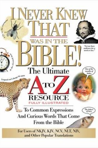 Cover of I Never Knew That Was in the Bible