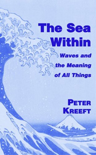 Book cover for The Sea Within - Waves and the Meaning of All Things