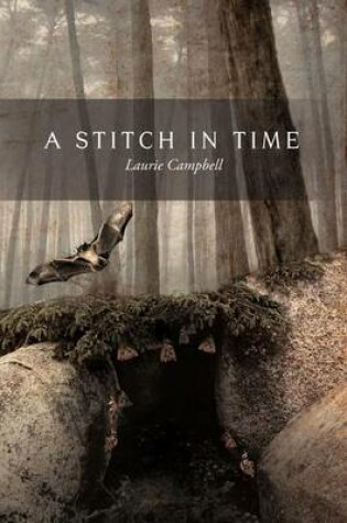 Cover of A Stitch in Time