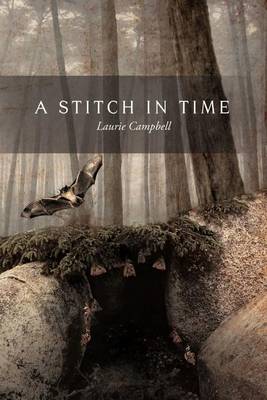 Book cover for A Stitch in Time