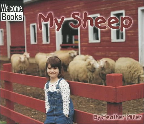Cover of My Sheep